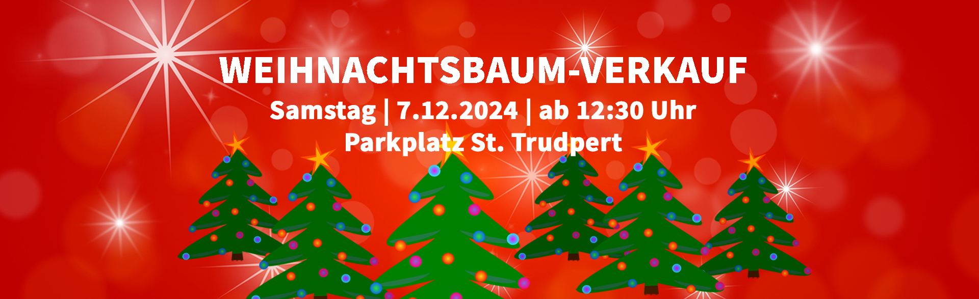 Weihnachsbaumverkauf 2024 Homepagebanner